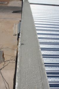 living roof 0082