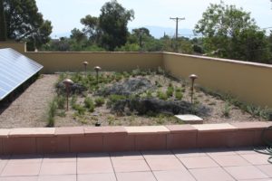 Living Roof 