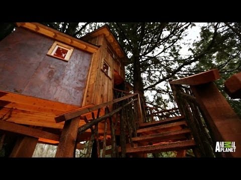 Behind the Build: Record-High Recording Studio | Treehouse Masters – YouTube