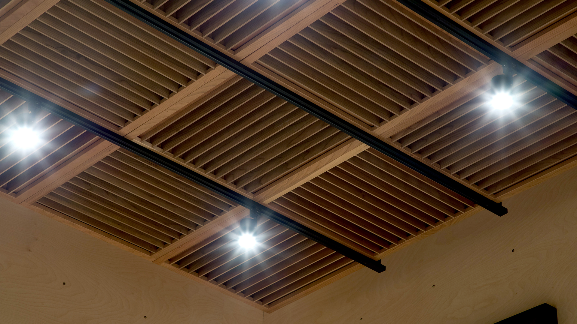 Ceiling Acoustic Diffuser
