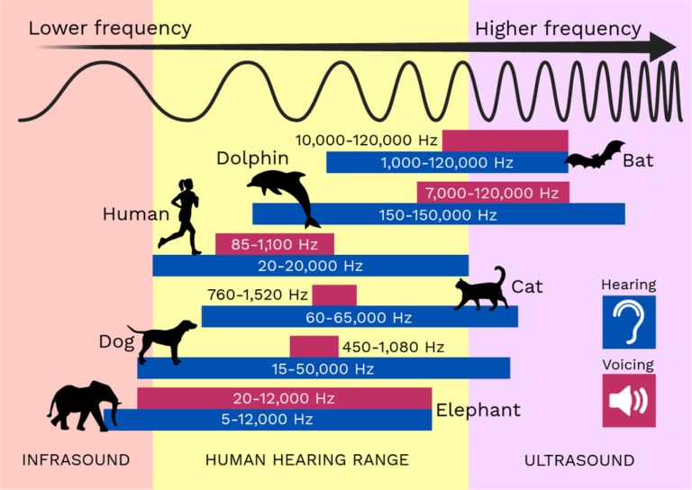 debunking-the-soundproof-blanket-myth-mastering-noise-management